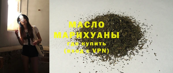 сатива Новодвинск