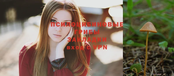 трава Новозыбков