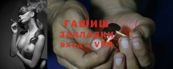 сатива Новодвинск