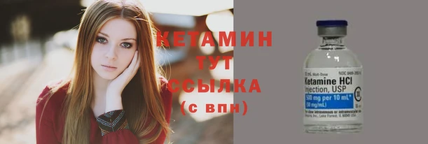 сатива Новодвинск