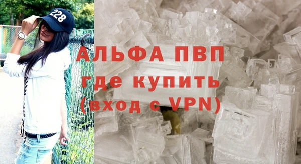 сатива Новодвинск