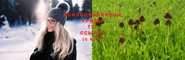 дживик Нефтегорск