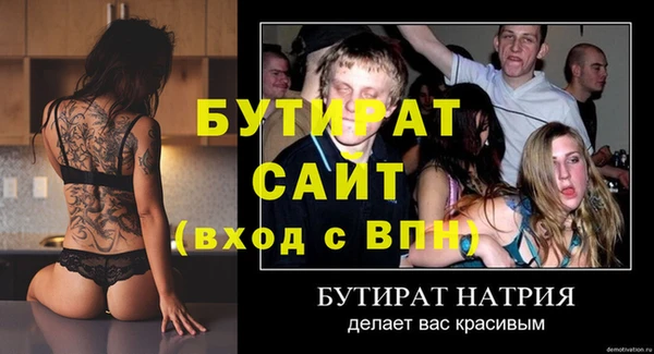 сатива Новодвинск