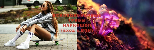 jwh Нефтекумск
